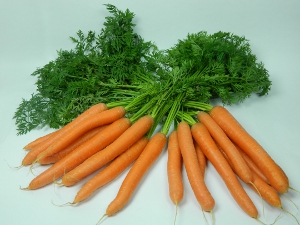Möhren - Karotten - Wurzeln
